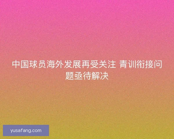 中国球员海外发展再受关注 青训衔接问题亟待解决