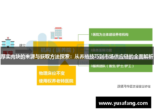 厚实肉块的来源与获取方法探索：从养殖技巧到市场供应链的全面解析
